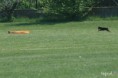 /album/foto2011/img-0002-jpg/