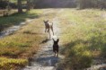 /album/foto2011/jesen28-jpg/