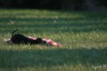 /album/foto2011/imocoursing11-jpg/