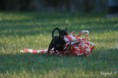 /album/foto2011/imocoursing12-jpg/