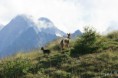 /album/foto-2012/tonale41-jpg/