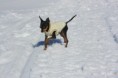 /album/foto-2013/p-neve03-jpg/